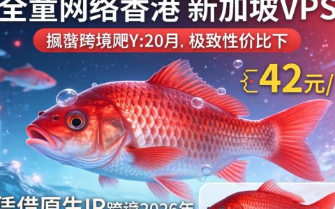 赤鱼网络香港新加坡VPS测评好用吗？42元月付原生IP性能