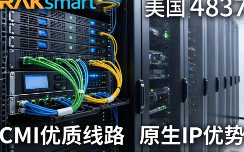 RAKsmart VPS测评，美国4837、CMI、原生IP实测数据表现，RAKsmart VPS好用吗