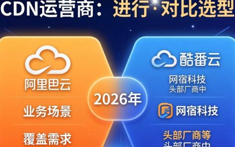 查询cdn运营商，国内主流cdn服务商有哪些