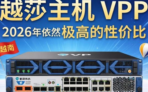 丽萨主机VPS测评，越南、香港双ISP、住宅IP实测数据表现，丽萨主机VPS测评怎么样，丽萨主机VPS测评