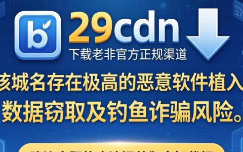 b.29cdn下载不了怎么办，b.29cdn下载