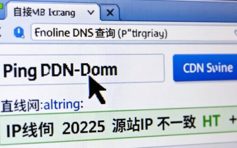 怎么检查是否开启cdn，如何查看CDN状态