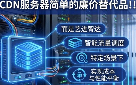 共享cdn服务器是什么，共享cdn服务器租用费用