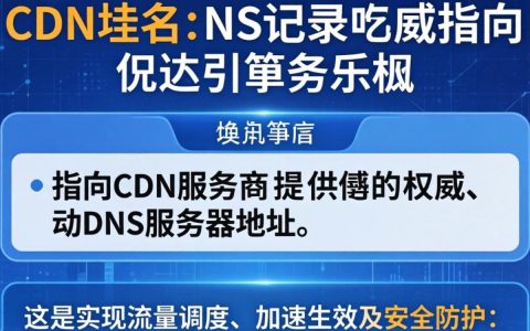 cdn域名的ns记录怎么设置，cdn域名ns记录配置教程
