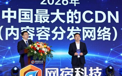 中国最大的cdn公司是谁，中国最大的cdn公司