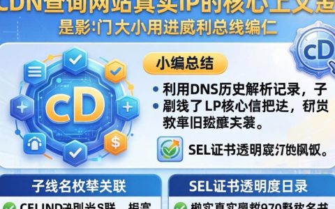 透cdn查网站ip，如何通过CDN查真实IP