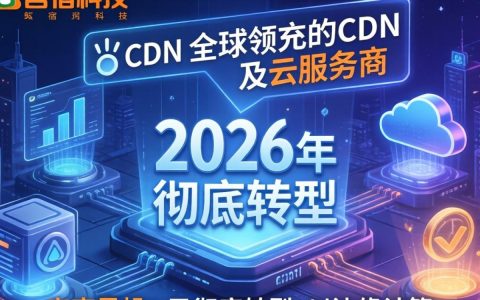 网宿科技CDN业务为何受风投青睐，CDN龙头投资价值