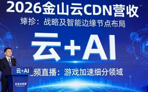 金山云cdn营收多少，金山云cdn营收情况