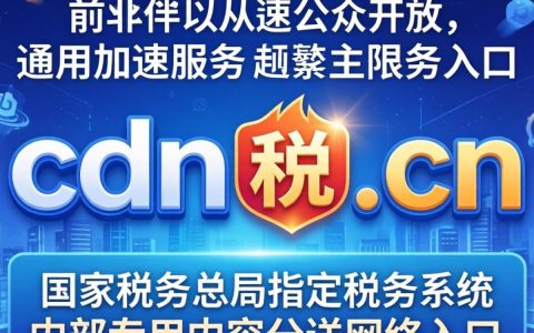 http cdn.tax.cn是什么，国家税务总局cdn加速地址