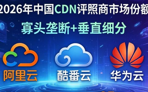 cdn牌照商份额多少，cdn牌照商份额