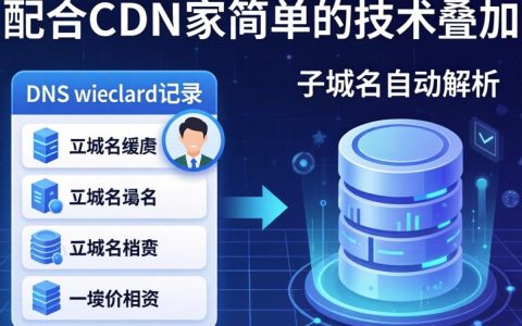 泛解析设置cdn，CDN泛解析怎么设置