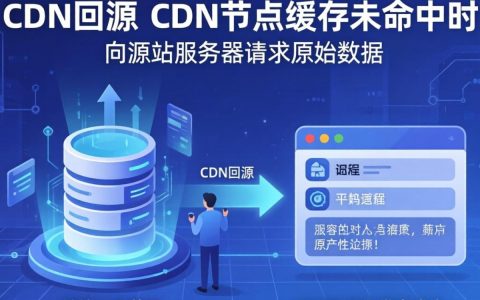 cdn回源英语怎么说，cdn回源