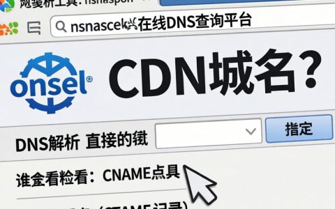 cdn域名怎么查，如何查询cdn域名