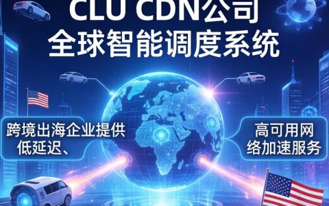 clu美国cdn公司是什么，美国cdn租用价格