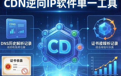 cdn逆向ip软件怎么用，cdn逆向ip查询