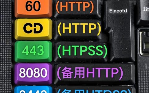 CDN支持哪些端口？CDN支持TCP和UDP端口