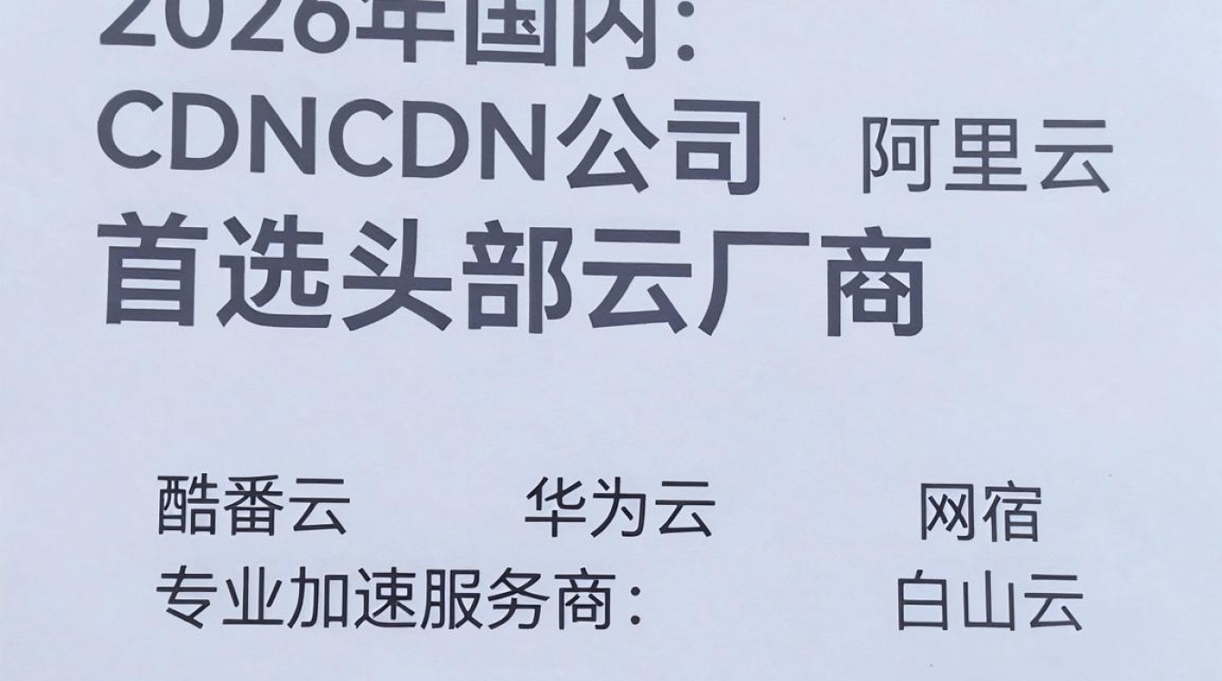 国内的cdn公司