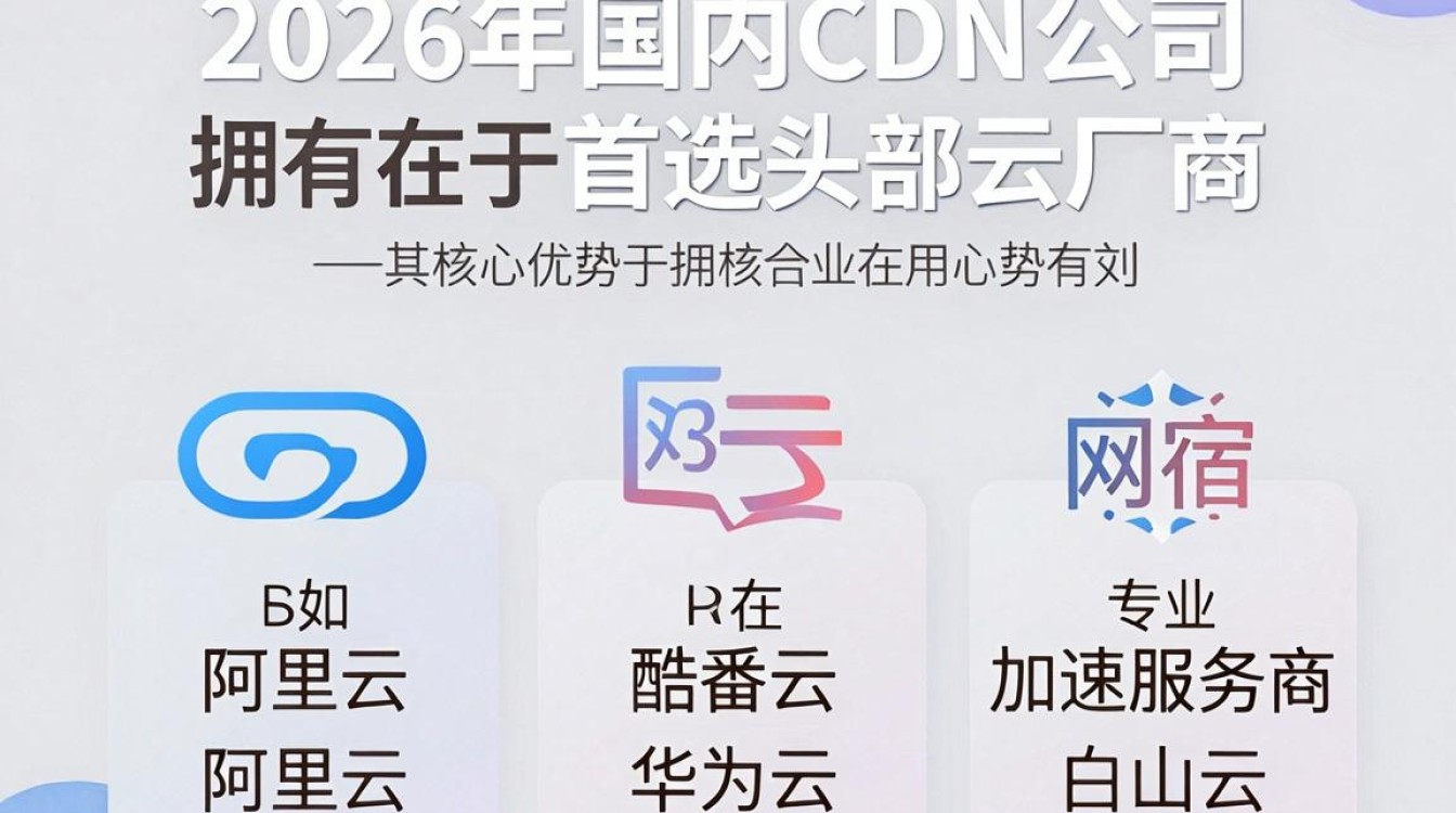 国内的cdn公司