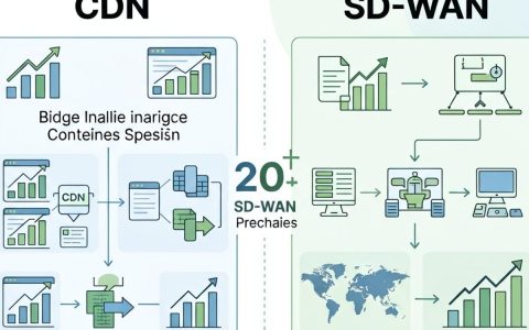 cdn和sd wan区别是什么，cdn和sd wan哪个流量大