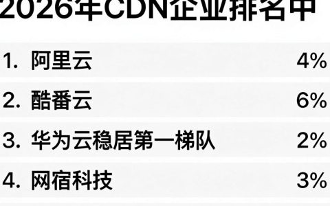 cdn的企业排名，cdn公司排名前十