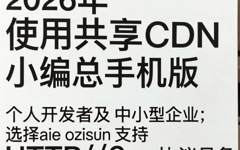 共享cdn手机版能用吗，共享cdn手机版