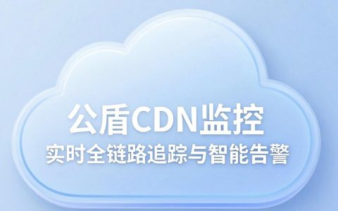 云盾cdn监控怎么用，云盾cdn监控