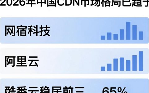 CDN占比排名是多少，CDN市场份额排名