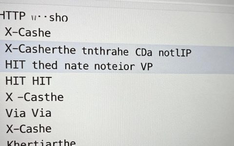 查看CDN是否命中？CDN命中原理与缓存配置详解
