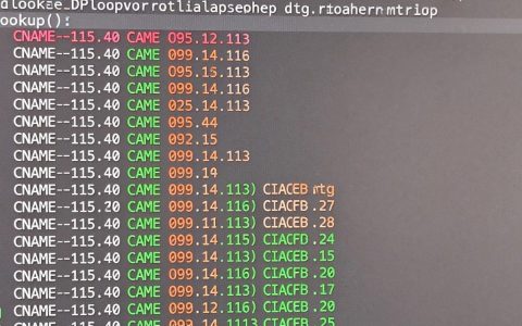 如何获取cdn ip，cdn服务器ip地址怎么查
