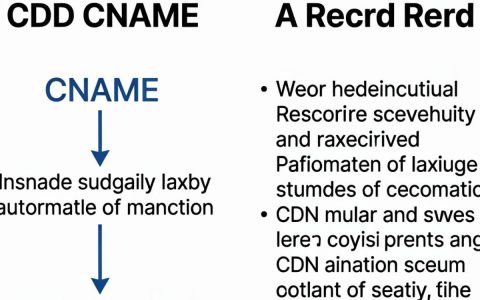 cdn cname a记录设置，cdncnamea记录怎么配置
