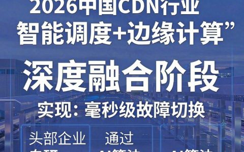 中国CDN圈是什么，中国CDN市场现状及发展趋势