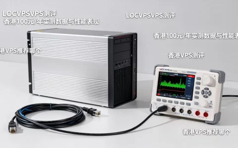 LOCVPSVPS测评，香港100元/年实测数据与性能表现，香港VPS推荐哪个，香港VPS测评