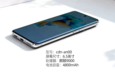 华为cdn-an00是什么型号，华为cdn-an00参数配置