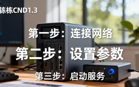 楹栋cdn1.3怎么用？楹栋cdn1.3配置教程