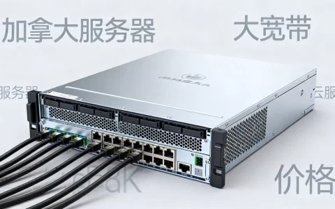 加拿大大宽带服务器便宜又稳定吗？加拿大云服务器租用价格