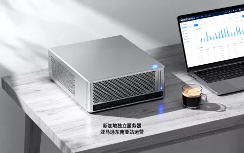 新加坡独立服务器做亚马逊东南亚站运营靠谱吗？新加坡服务器延迟低