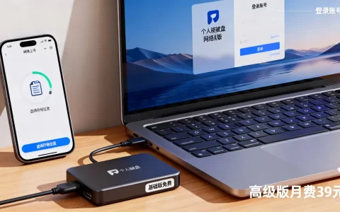 个人磁盘网络版怎么用？个人磁盘网络版收费标准