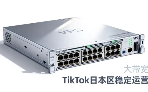 日本大阪大带宽VPS做TikTok日本区运营稳定吗？日本VPS推荐