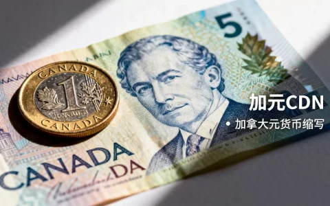 加元CDN是什么缩写？加元cdn是什么意思