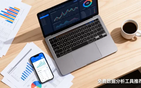 个人生大数据分析软件哪个好用？免费好用的个人数据分析工具推荐