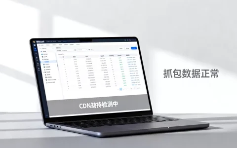 CDN劫持抓包怎么解决？如何检测网站是否被CDN劫持