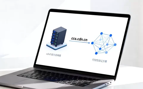 ccs.cdn.cn是什么？ccs.cdn.cn域名可信吗