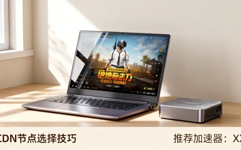 绝地求生用cdn怎么设置？绝地求生用cdn加速器哪个好用
