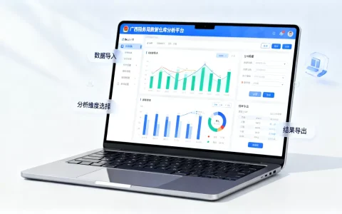 广西税务局数据仓库分析平台怎么用？