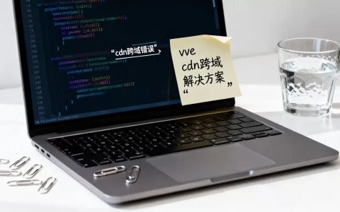 vue cdn跨域怎么解决？vue项目引入cdn报跨域错误