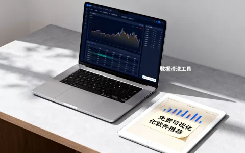 个人数据分析工具怎么用？哪些软件免费好用
