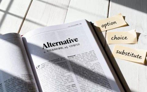 Alternative是什么？Alternative用法及近义词辨析