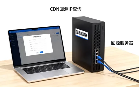 cdn回源ip是什么？cdn回源ip怎么查