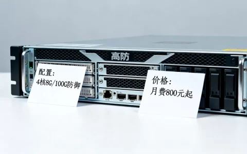 高防服务器怎么选型？高防服务器租用价格及配置详解