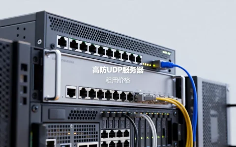 高防udp服务器是什么？高防udp服务器租用价格是多少